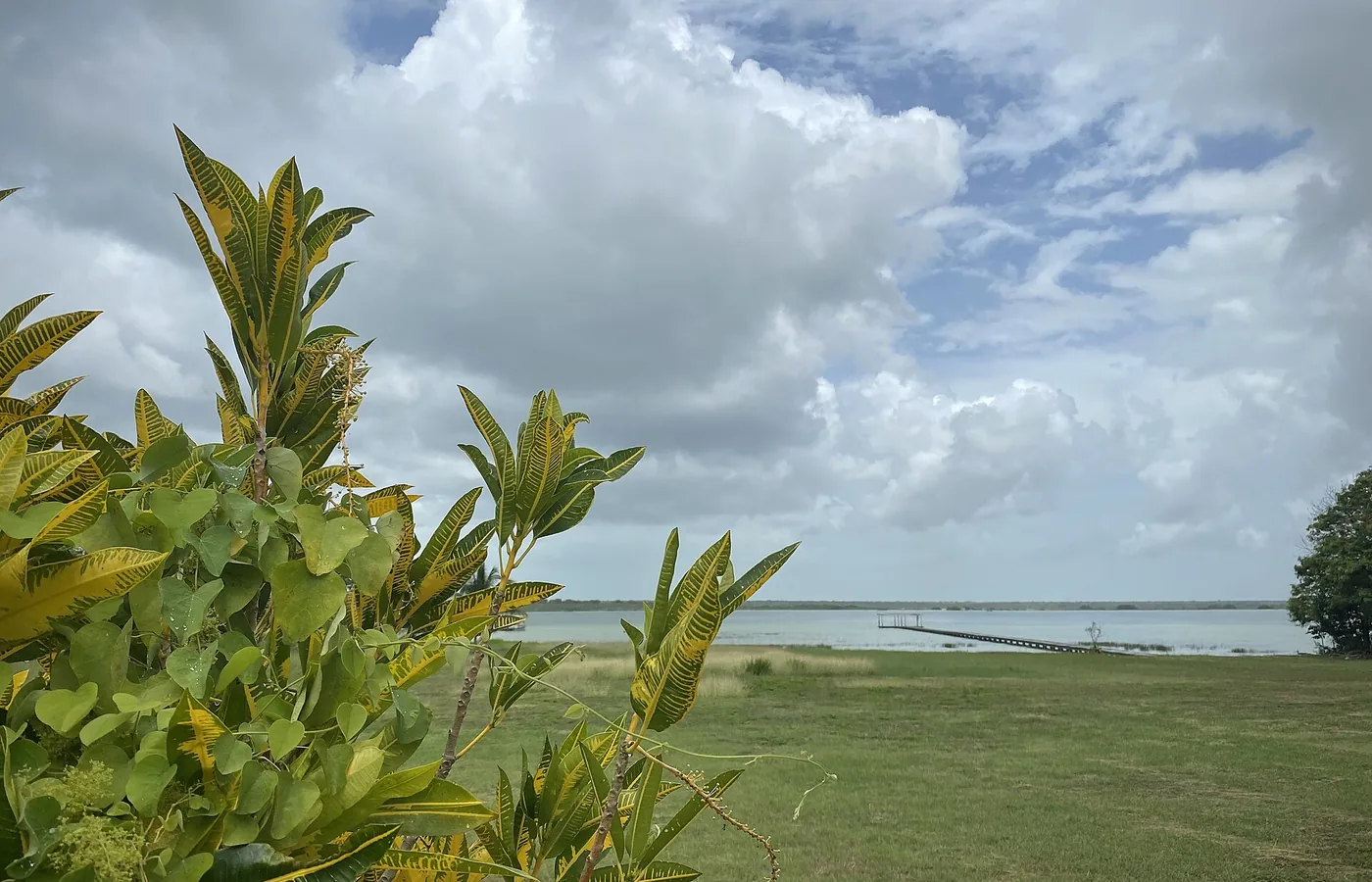 Aguas turquesas de la laguna de Bacalar